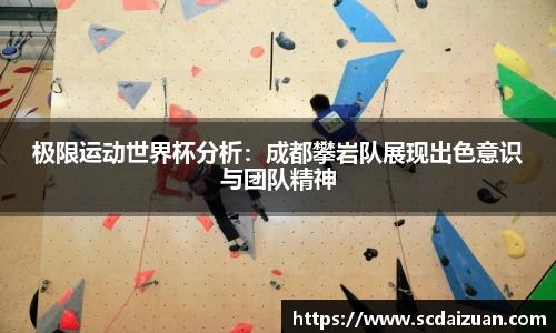 德信体育DexinSports