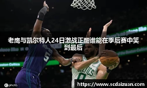 zoty中欧